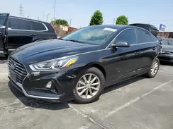 5NPE24AF5KH750266 2019 HYUNDAI SONATA