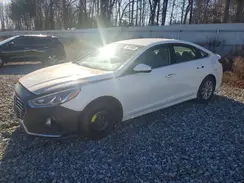 5NPE24AF5KH753197 2019 HYUNDAI SONATA
