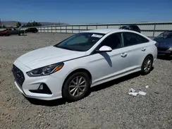 5NPE24AF5KH756956 2019 HYUNDAI SONATA