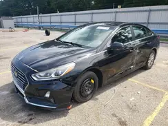 5NPE24AF5KH759257 2019 HYUNDAI SONATA