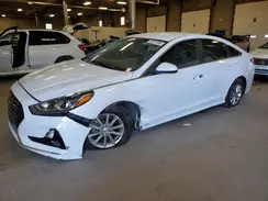 5NPE24AF5KH759596 2019 HYUNDAI SONATA