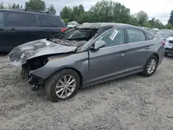 5NPE24AF5KH763017 2019 HYUNDAI SONATA