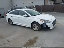 5NPE24AF5KH764071 2019 HYUNDAI SONATA