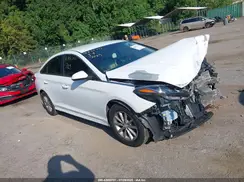 5NPE24AF5KH765284 2019 HYUNDAI SONATA