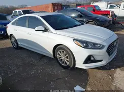 5NPE24AF5KH772350 2019 HYUNDAI SONATA