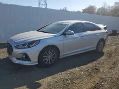 5NPE24AF5KH773496 2019 HYUNDAI SONATA