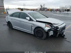 5NPE24AF5KH776169 2019 HYUNDAI SONATA