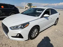 5NPE24AF5KH777855 2019 HYUNDAI SONATA