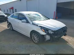 5NPE24AF5KH778391 2019 HYUNDAI SONATA