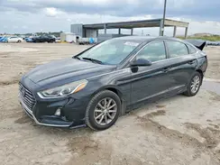 5NPE24AF5KH780142 2019 HYUNDAI SONATA