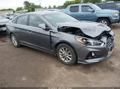 5NPE24AF5KH781999 2019 HYUNDAI SONATA