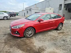 5NPE24AF5KH787155 2019 HYUNDAI SONATA
