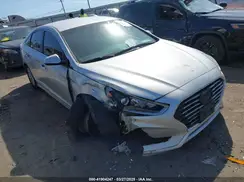 5NPE24AF5KH787950 2019 HYUNDAI SONATA