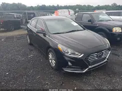 5NPE24AF5KH789553 2019 HYUNDAI SONATA