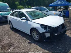 5NPE24AF5KH794641 2019 HYUNDAI SONATA
