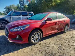 5NPE24AF5KH796504 2019 HYUNDAI SONATA