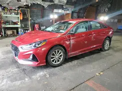 5NPE24AF5KH798124 2019 HYUNDAI SONATA