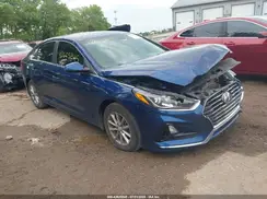 5NPE24AF5KH800406 2019 HYUNDAI SONATA