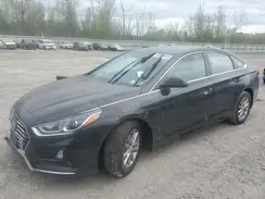 5NPE24AF5KH801054 2019 HYUNDAI SONATA
