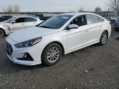 5NPE24AF5KH801071 2019 HYUNDAI SONATA