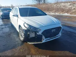 5NPE24AF5KH802639 2019 HYUNDAI SONATA