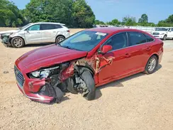 5NPE24AF5KH806240 2019 HYUNDAI SONATA
