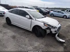 5NPE24AF5KH806951 2019 HYUNDAI SONATA