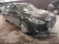 5NPE24AF5KH808733 2019 HYUNDAI SONATA