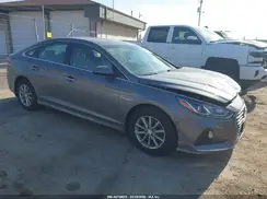 5NPE24AF5KH810742 2019 HYUNDAI SONATA