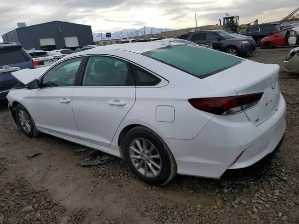 5NPE24AF5KH811356 2019 HYUNDAI SONATA - Image 2