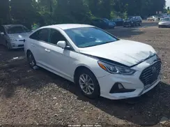 5NPE24AF5KH811423 2019 HYUNDAI SONATA