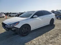 5NPE24AF5KH817481 2019 HYUNDAI SONATA