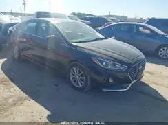 5NPE24AF5KH818646 2019 HYUNDAI SONATA