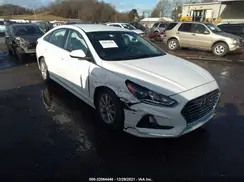 5NPE24AF5KH819456 2019 HYUNDAI SONATA