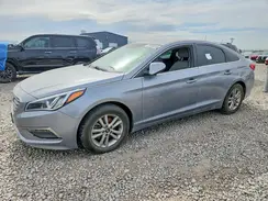 5NPE24AF6FH002065 2016 HYUNDAI SONATA