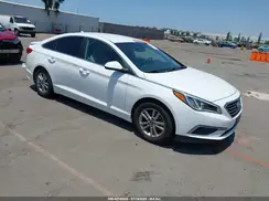 5NPE24AF6GH261558 2016 HYUNDAI SONATA