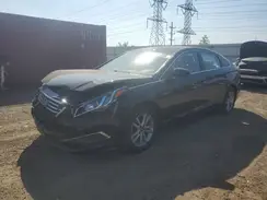 5NPE24AF6GH263889 2016 HYUNDAI SONATA