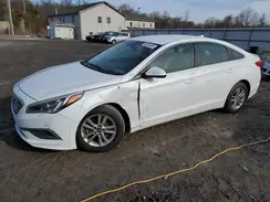 5NPE24AF6GH273189 2016 HYUNDAI SONATA