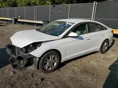 5NPE24AF6GH273211 2016 HYUNDAI SONATA