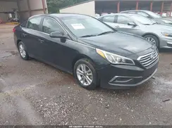 5NPE24AF6GH273807 2016 HYUNDAI SONATA