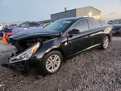 5NPE24AF6GH279266 2016 HYUNDAI SONATA