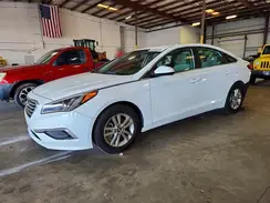 5NPE24AF6GH284404 2016 HYUNDAI SONATA