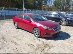 5NPE24AF6GH291191 2016 HYUNDAI SONATA