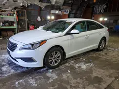 5NPE24AF6GH295628 2016 HYUNDAI SONATA