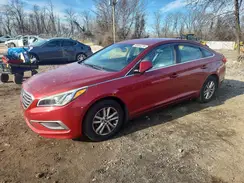 5NPE24AF6GH296147 2016 HYUNDAI SONATA