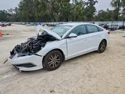 5NPE24AF6GH296830 2016 HYUNDAI SONATA