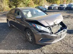 5NPE24AF6GH306286 2016 HYUNDAI SONATA