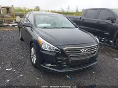 5NPE24AF6GH309446 2016 HYUNDAI SONATA