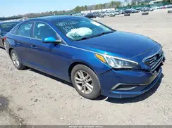5NPE24AF6GH313528 2016 HYUNDAI SONATA