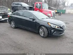 5NPE24AF6GH315358 2016 HYUNDAI SONATA